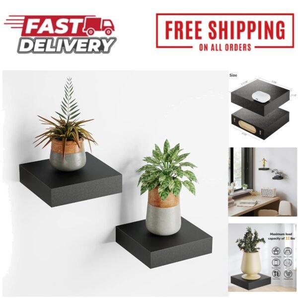 Stylish Black Wall-Mounted Shelf - Mini Shelf for Decor & Small Plants